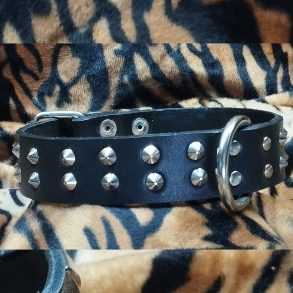 Collar de perro cuero negro con pinchos